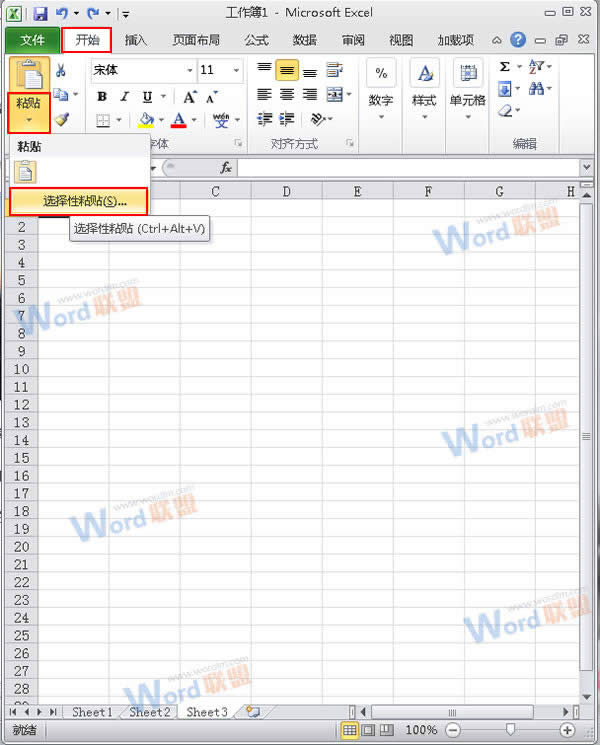 ôWordͼƬʽ뵽Excel2010У