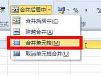 Excel2010ϲԪ