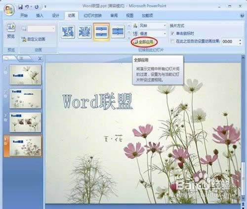 powerpoint2007ͼƬлЧ