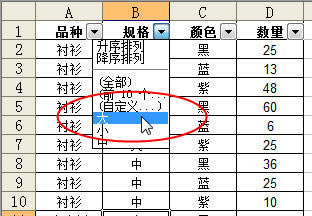 Excel2003нԶɸѡ_վ