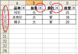 Excel2003нԶɸѡ_վ