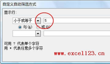 Excel2010ԶԶɸѡ