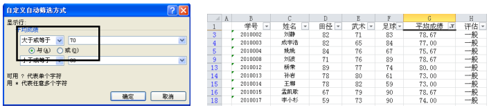 Excel2010Զɸѡ