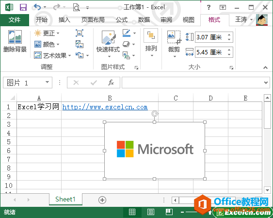 excel2013ͼƬ