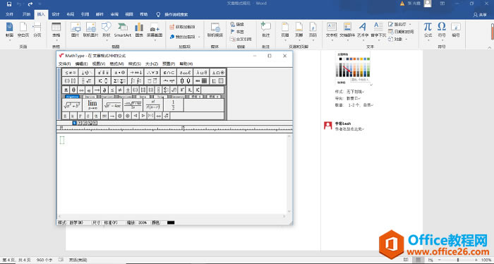 wordеMathType༭