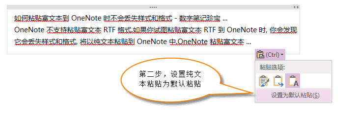 OneNote ΪĬճ