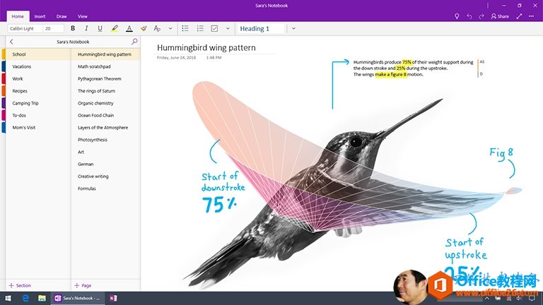 Screenshot of OneNote for Windows 10