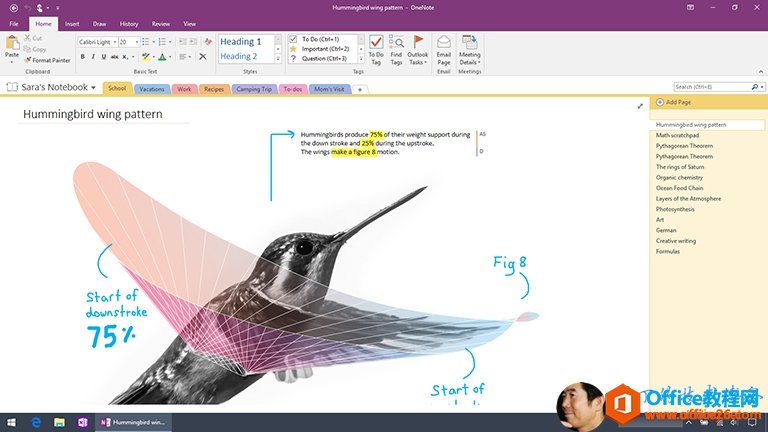 Screenshot of OneNote 2016