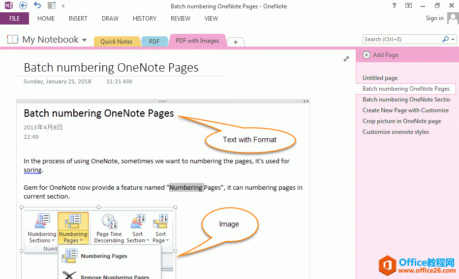 PDF  OneNote ԸʽıͼƬʾ