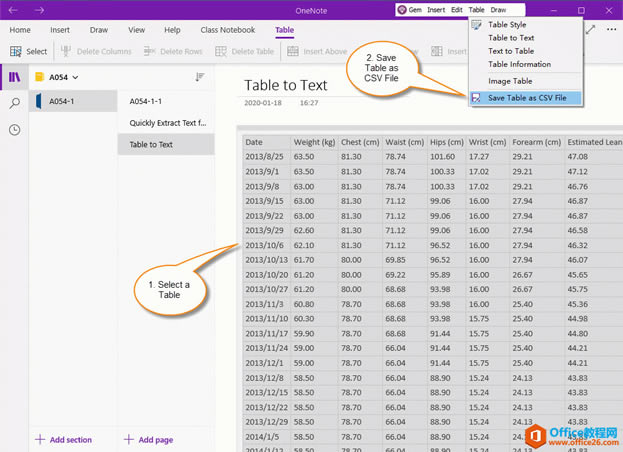 ת OneNote ıΪ csv ȻExcel