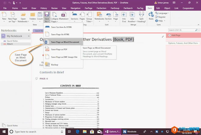 OneNote: Gem for OneNote ıҳΪ Word ĵ 