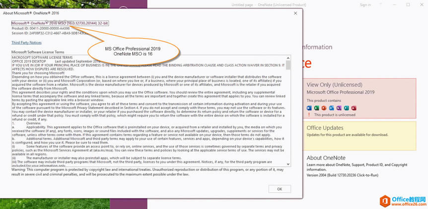 Microsoft Office Professional 2019OneNoteMSO汾16.0