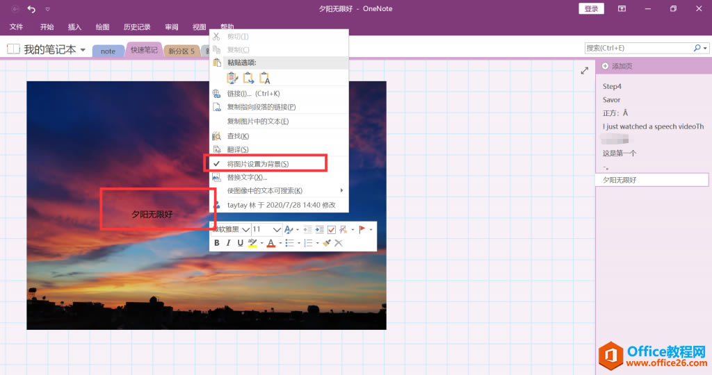 OneNote