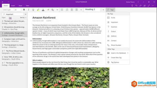 The best version of OneNote on Windows