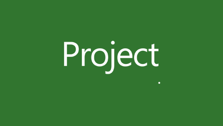 Microsoft Project Ŀ