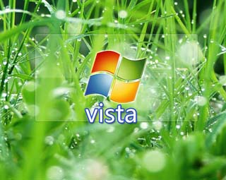 ΢Windows Vistaϵͳ5